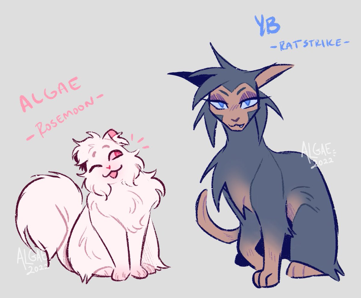 ALGnsfw's tweet photo. Discovered I’m not the only person in this lil fandom that enjoys a good warrior kitty… so I made my silly little cast into bloodthirsty kitty cats >:3
#HelloMyLove #HML #HMLalgae #HMLal #HMLyb #HMLvenus #HMLtj #HMLiyla #HMLleo #oopsIwroteItAsLio https://t.co/Erer5GIMmX