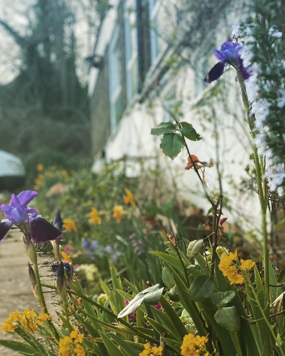 plumtreecoop's tweet photo. #gardeningseason #springtime #timetosow #growyourfood https://t.co/x4oJFIHGYM