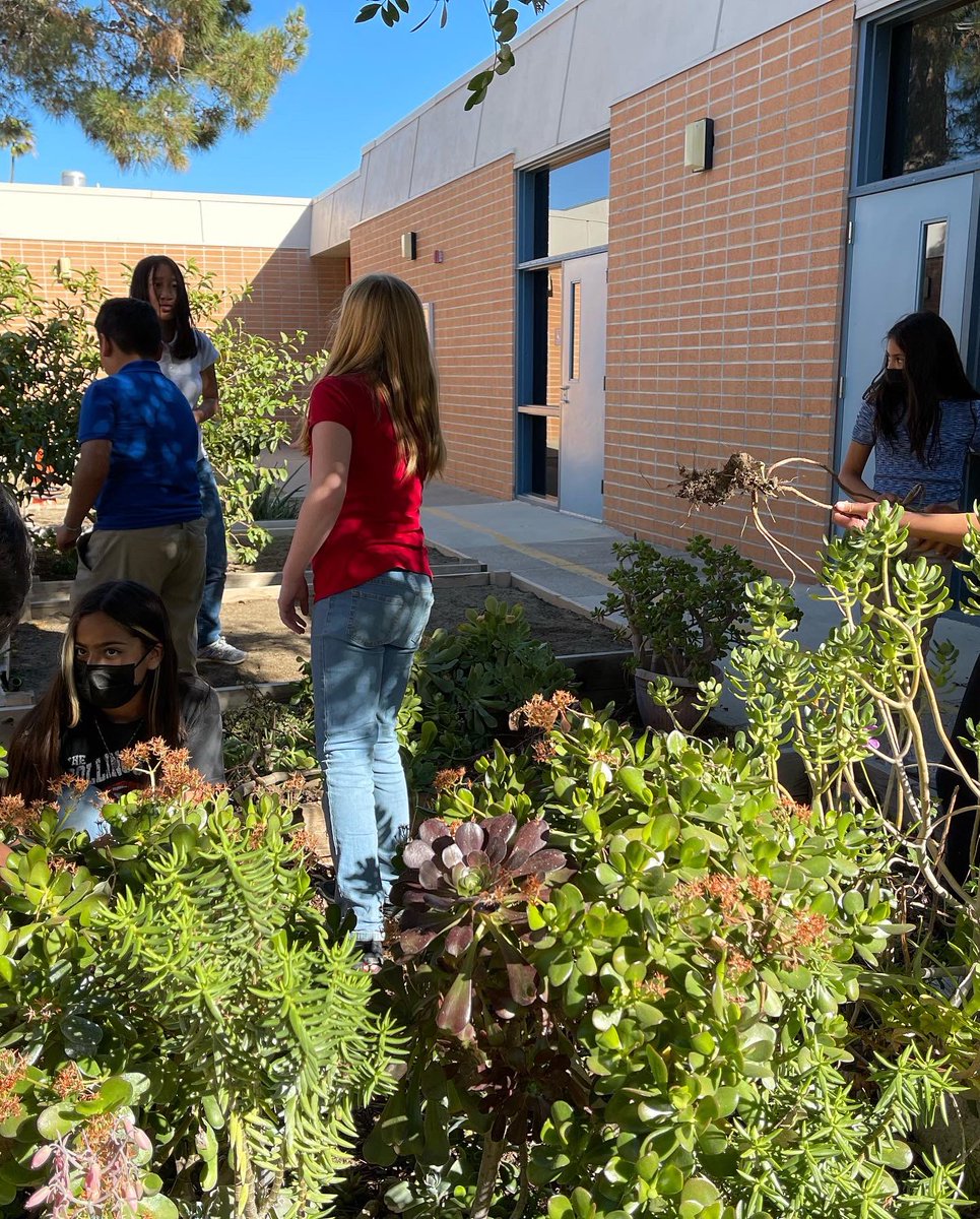 M. Hinton tweet media