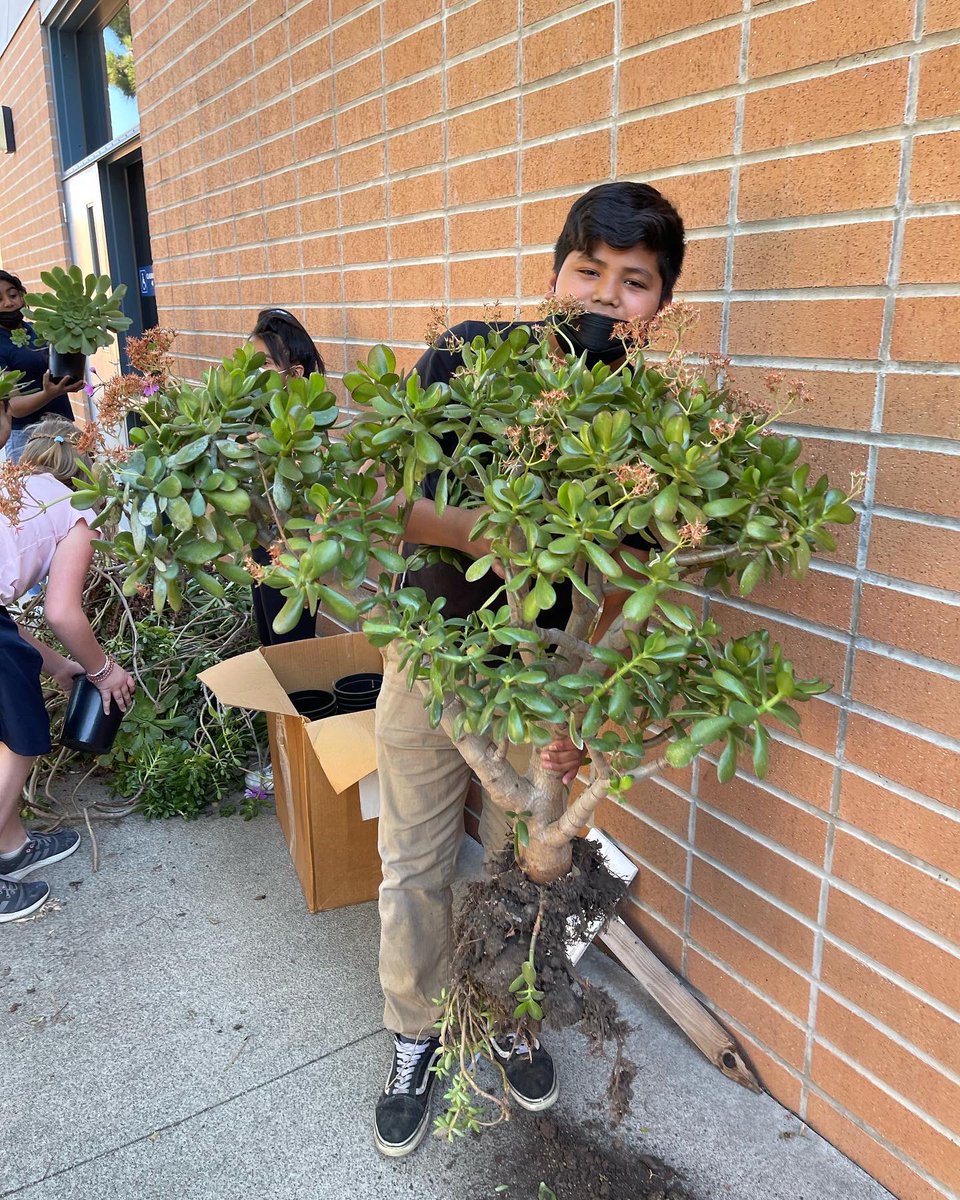 M. Hinton tweet media