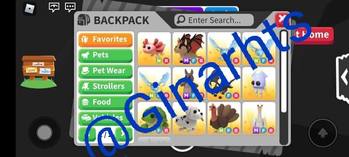 Ginarhts's tweet photo. Trading AM Pets for Paypal Or RHD RH halo high tier only!

Also (NGF) Collection proof
But can use mm if needed!

#adoptmetrade #adoptmetrades #adoptmetrading #adoptmetradings #adoptmetrader #adoptme #adoptmegw #adoptmegiveaway https://t.co/YK6MNX7fDM