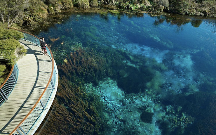 #NouvelleZélande : L'eau la plus claire du monde menacée par une algue envahissante 😕
lepetitjournal.com/auckland/actua…