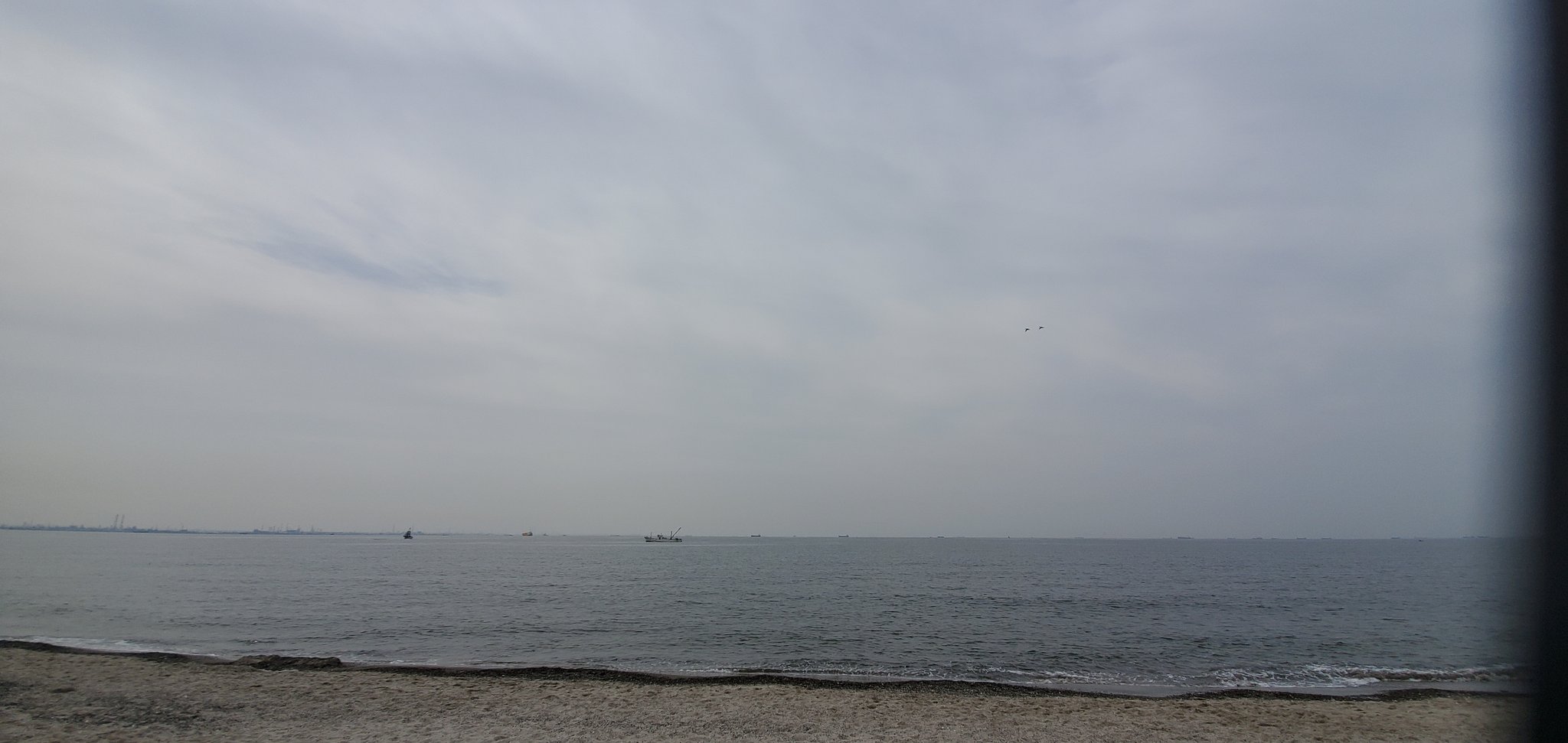 おしん 久しぶりの稲毛海浜公園でのテニス 週末は 脂肪を燃焼させるためテニスをよくするが なかなか痩せない なぜだぁ 揚物や炭水化物は外せないし まぁいいっかぁ あっ炭水化物で思い出した そういえば今日から 大好きな相撲が