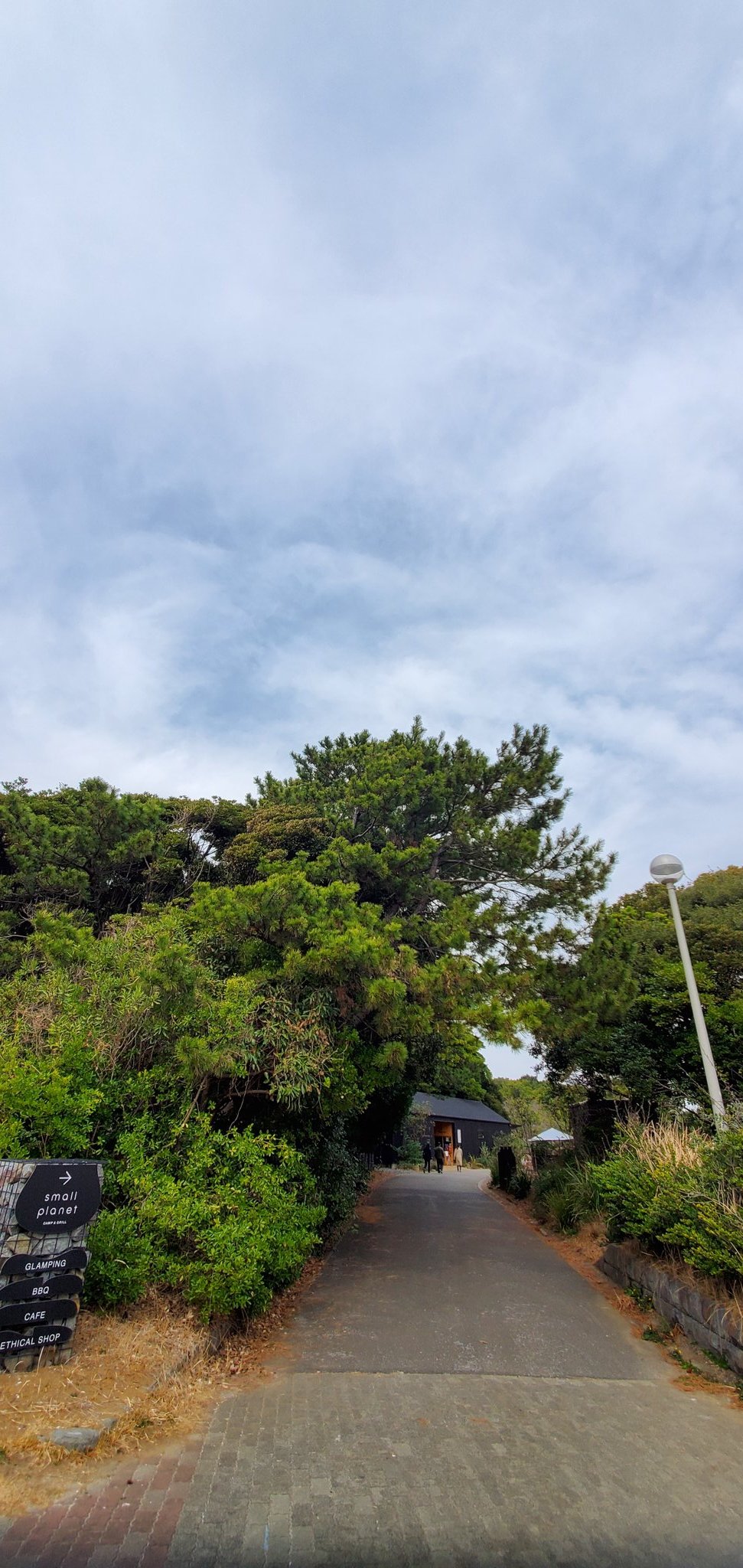 おしん 久しぶりの稲毛海浜公園でのテニス 週末は 脂肪を燃焼させるためテニスをよくするが なかなか痩せない なぜだぁ 揚物や炭水化物は外せないし まぁいいっかぁ あっ炭水化物で思い出した そういえば今日から 大好きな相撲が