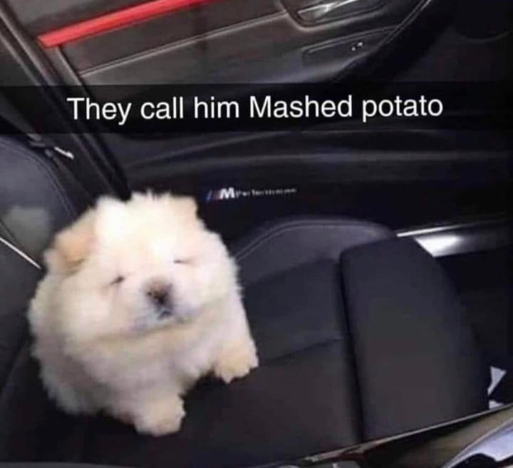 WholesomeMeme's tweet photo. https://t.co/Hs6k4Qerj3