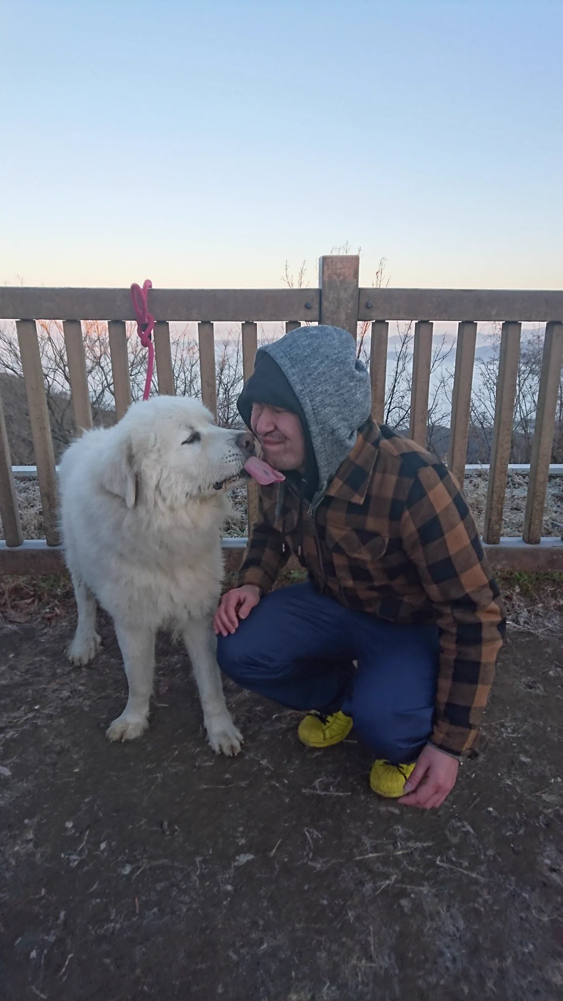 @chouchou_the_g ピレ好きすぎて見かけるともれなく声掛けてしまう。
トリミング実習終わった後に数分抱きついてたら先生に
「なかた君て犬好きなんだね。（驚）」
って言われた思い出。笑 