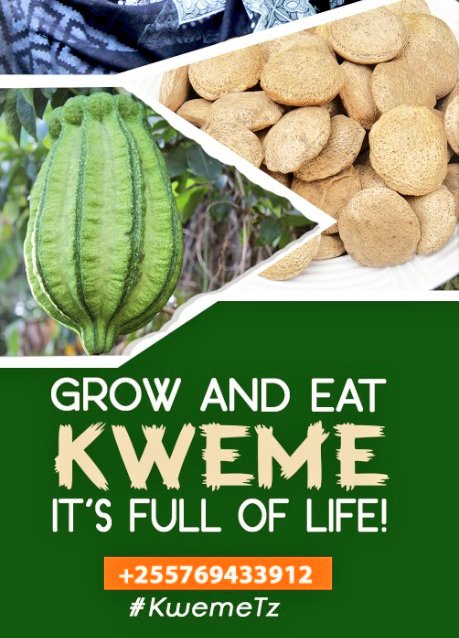 Concesa17's tweet photo. Trying to promote this potential crop #kweme💪 which has been known to be "neglected" "orphan" hence underutilized by all of us.... Try to consume it! It's full of nutritional elements...#kwemeTz🇹🇿
#kweme4health #kweme4income #kweme4biodiversity #phdlife #phdchat https://t.co/pHLsD4ddSU