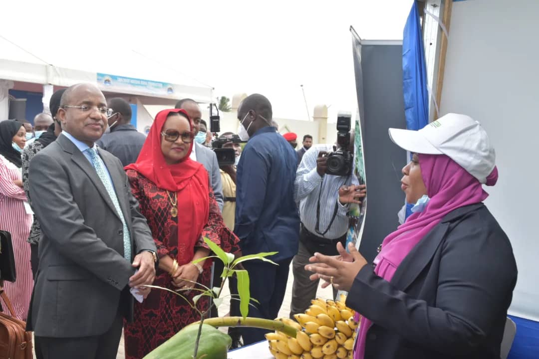 ViungoProject's tweet photo. Chief Project manager @ViungoProject, Amina Ussi briefing the President of Zanzibar @DrHmwinyi after 
 his arrival at the #ViungoProject pavilion during the exhibition at Zanzibar Annual NGOs Forum 2022 held at the Golden Tulip Kiembe Hotel.

#AgriConnect funded by @EUinTZ https://t.co/PY18LT24d1