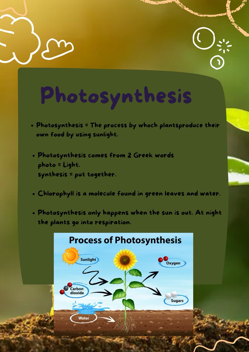 What is Photosynthesis?
#BellaChallenge 
Day55,
<a href="/BlueStudios_io/">Blue Studios Labs</a>
@bluestudiosNFT
#NFTCommunity 
#Learn2Earn