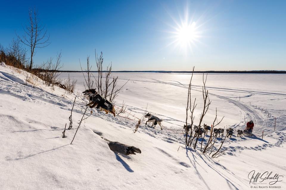 IditarodJeff's tweet photo. This is one of my favorite types of photos... backlit on a blue-bird day. Ramey Smyth arrives off the bank of the Yukon into Galena.
https://t.co/HKVTmCw5lN
#iditarod #photography #jeffschultzphotography #dogs #mushing #alaska https://t.co/WwGnUOSkRo