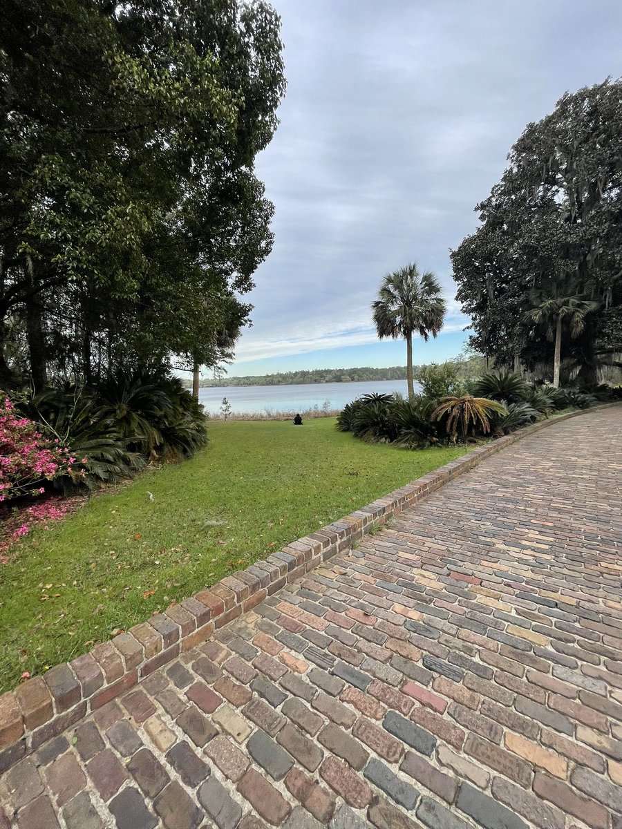 AJProducedIt's tweet photo. Engagement Shoot went NUTS 💍📸 it’s something calm about beautiful scenery 🥰😍😍😍

#weddingphotography #naturephotography 
#travelphotographer https://t.co/P4sGV22scB