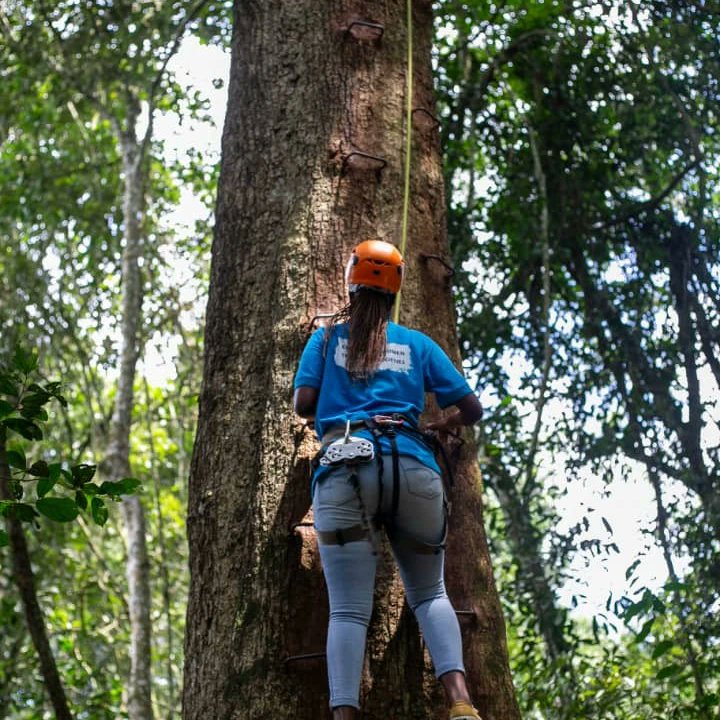NkunsiPamela's tweet photo. There is surely no need for us to go down, we have to keep climbing till we reach our destination #empowwerwomen #superwomen https://t.co/CCln32Ibld