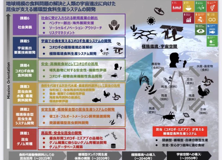 『地球規模の食料問題の解決と人類の宇宙進出に向けた昆虫が支える循環型食料生産システムの開発』
といういい感じに狂ってる題目のムーンショット研究が今走ってますねฅ ^･ω･^ฅ
