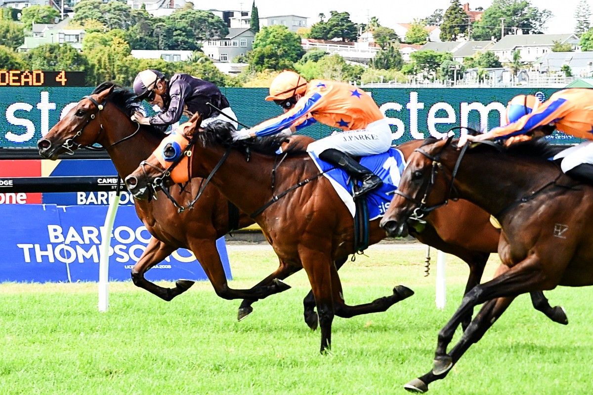 nzracingnews's tweet photo. Quality 2yo filly Lickety Split became the first Gr.1 winner for her sire Turn Me Loose with a tough win in the Gr.1 Sistema Stakes at @Ellerslie_Races on Sunday. Read more here  https://t.co/kfo0bF0AW3 https://t.co/K62slNf4fh