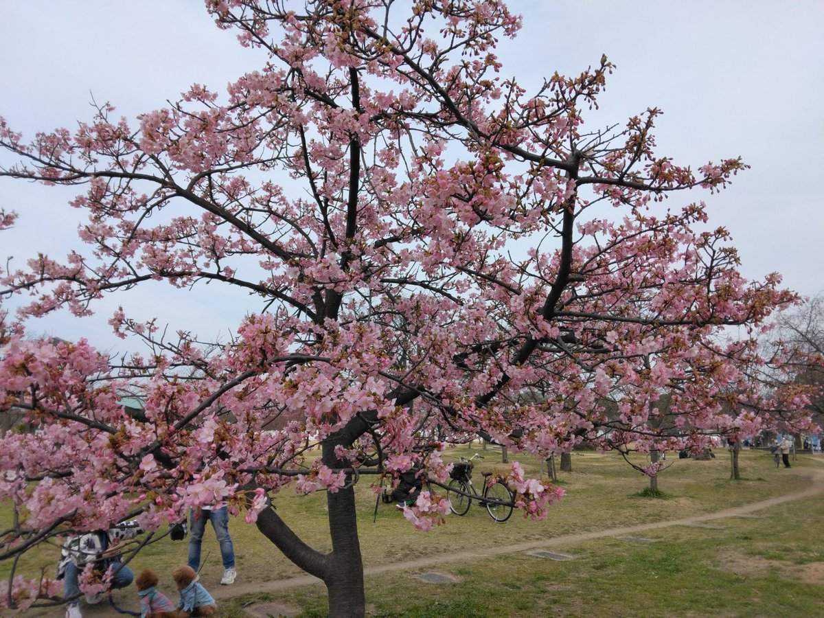 guigan's tweet photo. 春めく長居公園!
この春バーベキュー初めに参りました!(^^)!
お肉の質や厚みを見直し、グランドメニューも更新しております!(^^)!
#長居公園
#GOODBBQ
#手ぶらバーベキュー
#大阪
#オリジナルスパイス
#バーベキュースパイス
#美味しゅうございました https://t.co/mLYYrGCw8E