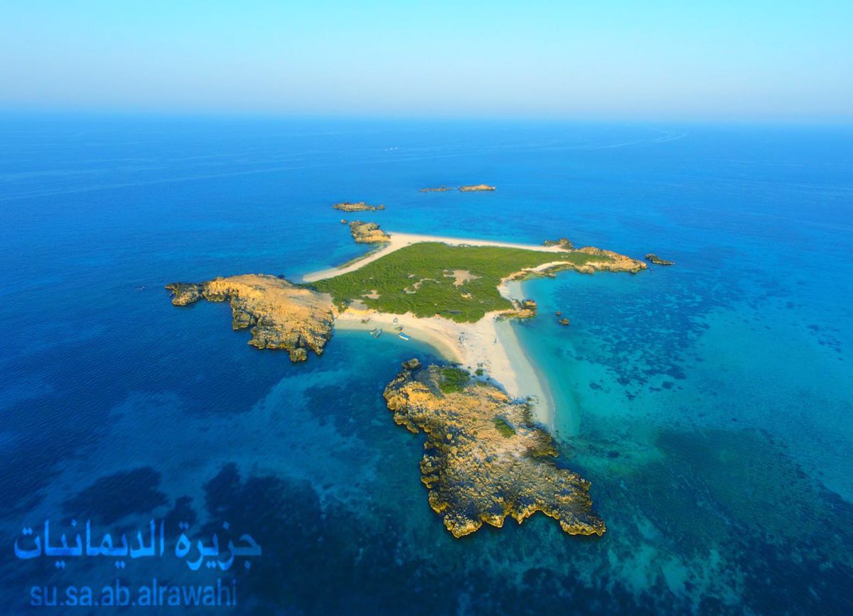 AlmuhajerM's tweet photo. @ea_oman نداء إلى هيئة البيئة وعلى رأسهم سعادة عبدالله بن علي العمري رئيس الهيئة بإنقاذ ما بقي من الحياة البحرية من مرجان واسماك صغيره وغيرها في محمية جزر الديمانيات من العابثين بها من أصحاب الدراجات المائية خاصةً وغيرهم من الذين لا يبالون بهذه الدرة الجميلة في بلدنا سلطنة عمان https://t.co/sO2biiIsha