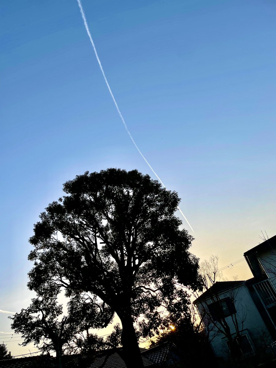 taneshue's tweet photo. すぐに消えたので、明日も晴れるかな？

It disappeared quickly, so I think it will clear up again tomorrow.

#飛行機雲 #contrails 
#すぐに消えると次の日は晴れ 
#長く残ると #天気は崩れるらしい https://t.co/oBiDNadoSM