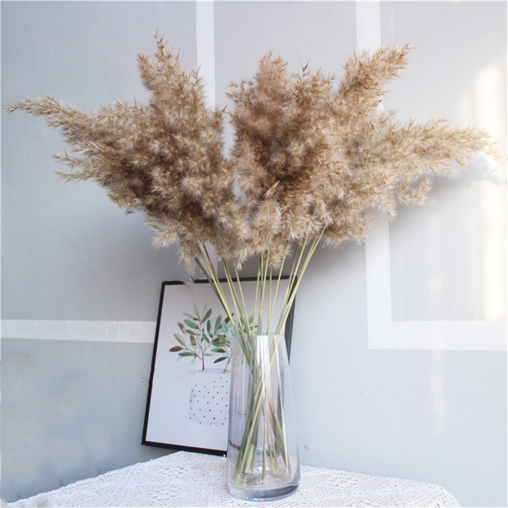 IslandDeco's tweet photo. Set of Natural Dried Pampas Grass Bunches #homedesign #homesweethome #handmade https://t.co/9gm0FQZwlB https://t.co/Jkf8YplOyt