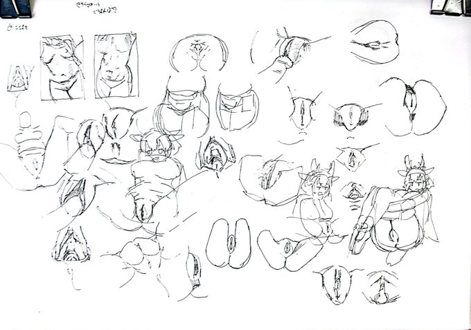 わかんなすぎる 