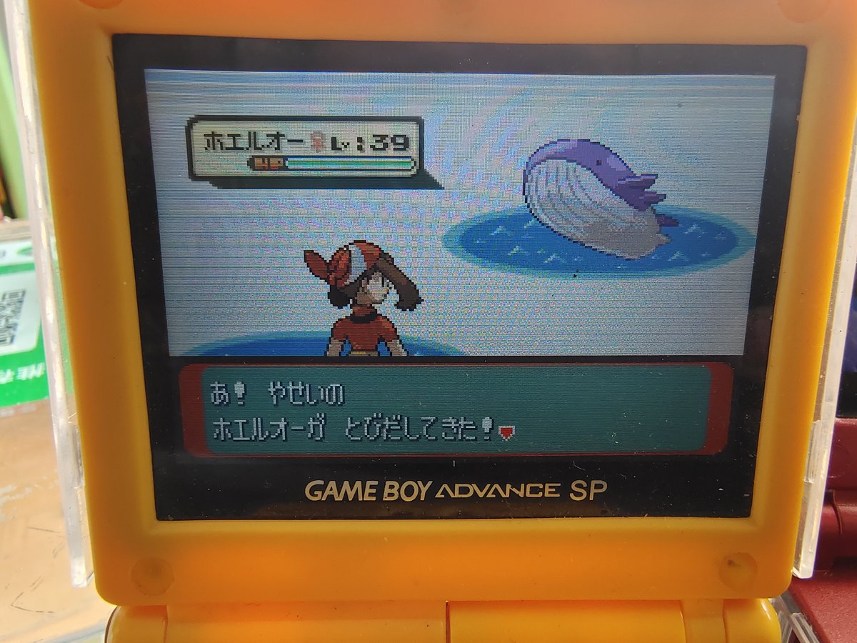 qq865174520's tweet photo. Shiny Wailord in Pokemon Ruby after 628 Encounters！！✨🐳 Big shout out to @Sonikks1 @Tox241 for the guide！！ 👍🏻 https://t.co/u7dyZlOJt7