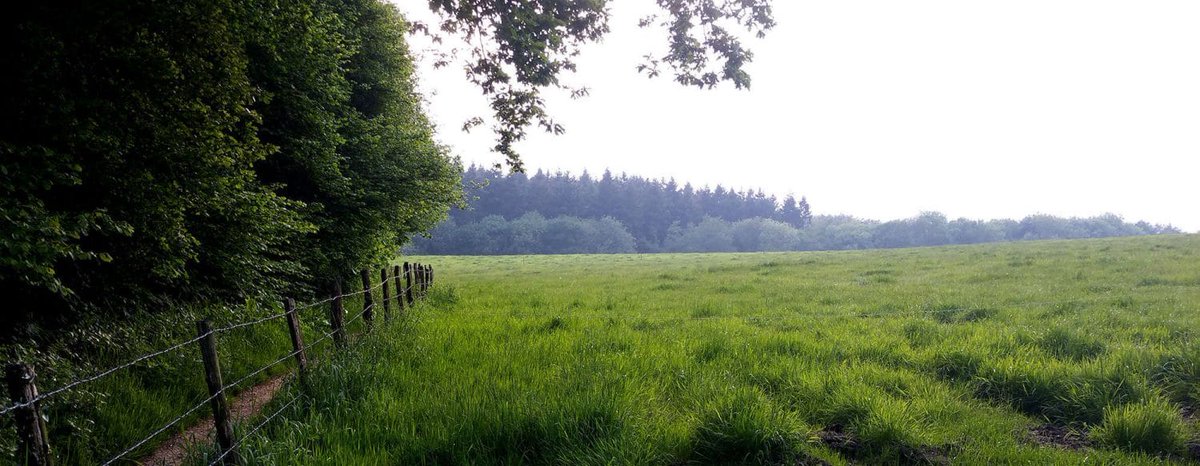 bishopstokeres's tweet photo. Nature reserve in Bishopstoke and Fair Oak moves a step closer - https://t.co/X8JbOB5lGO https://t.co/iwbRhIvC1A