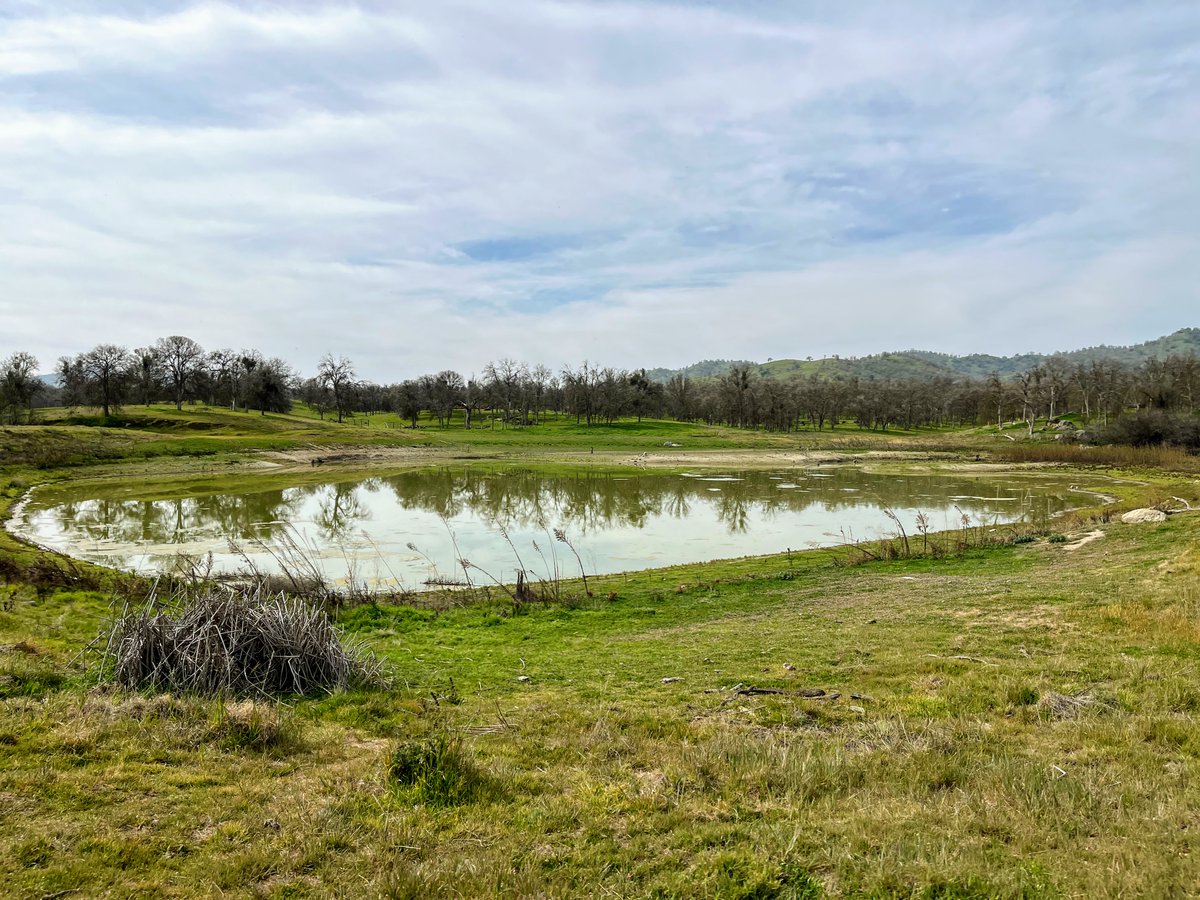 amydownsamy's tweet photo. Exploring biodiversity, searching for lichen, #Foldscoping macroinvertebrates, &amp; learning about decomposition at #CircleJRanch @tularecoe 
Beautiful day for our @GLC_VUSD  7th &amp; 8th grade field trip! https://t.co/LUN5oambEE