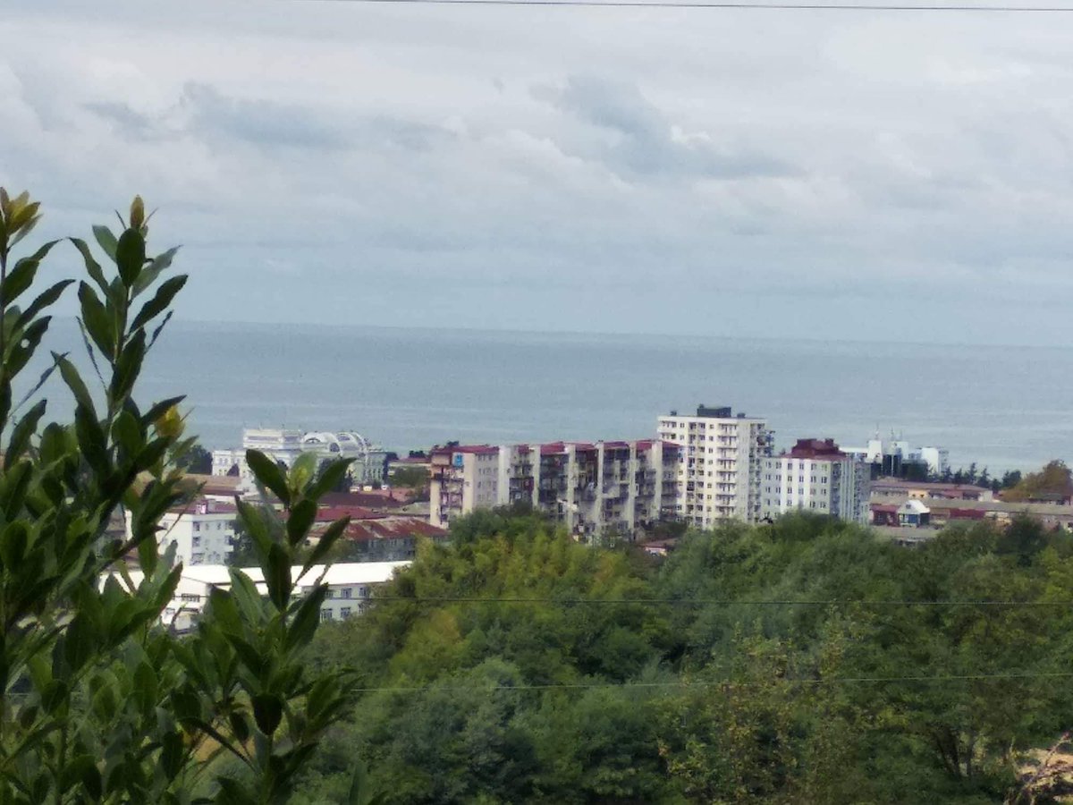 Narishka12's tweet photo. Продается земельный участок со склоном. Батуми, махинджаури. Площадь 2640кв.м возможна продажа части. Цена за 1кв.м 50$ #недвижимостьвБатуми #Батуми https://t.co/BdZ6TUj44z