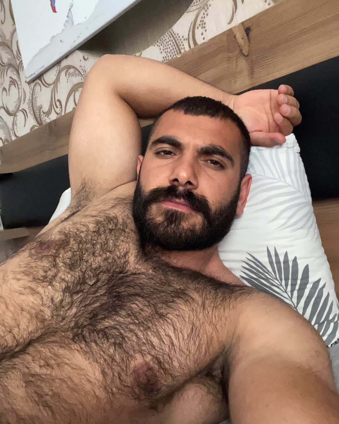 _mr.kurdo_ on Twitter: 