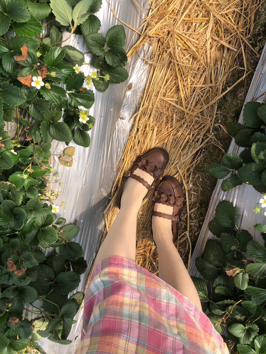qiujiang2000's tweet photo. 嘻嘻 https://t.co/M0NYS1PZV8