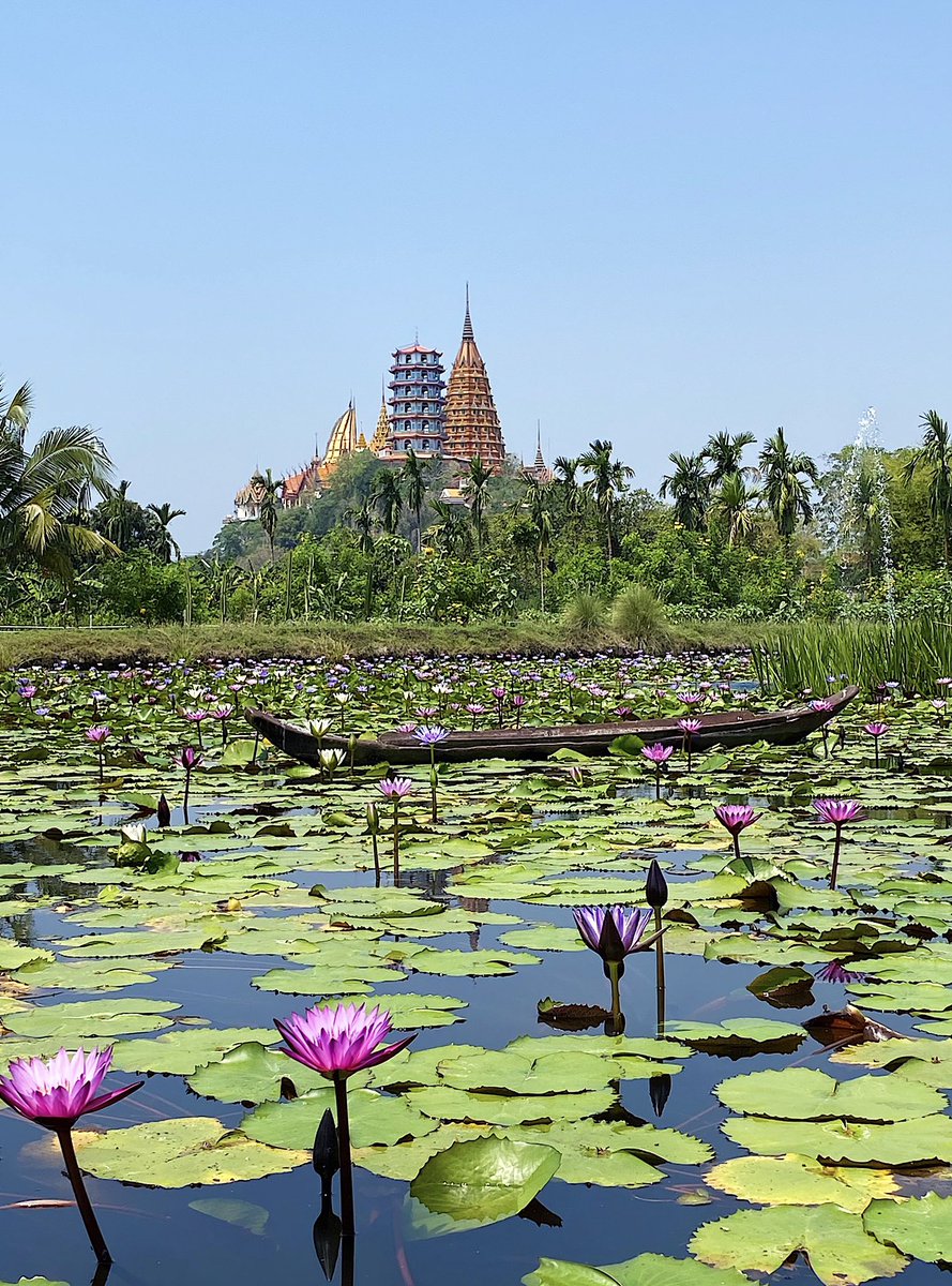 Nous sommes une famille en tour du monde
Rejoignez nous sur Instagram
Frenchiesbackpackers
#Thailand #thailande 
#ThailandNews 
#worldtour #voyage 
#famille #roadtrip #blogvoyage
#tourdumondiste #tourdumonde