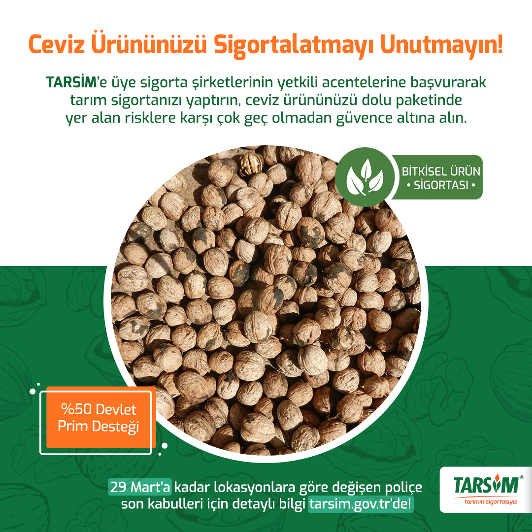 tarim_sigortasi's tweet photo. Ceviz ürününüzü sigortalatmayı unutmayın!

#tarımsigortasızolmaz #tarımsigortası #tarsim #tarımınsigortasıyız https://t.co/w479KcZimD