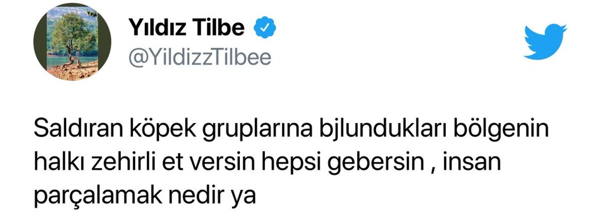 Siz hiç zehirli et yüzünden saatlerce kan kusarak, bağırarak, tepinerek ölen bir köpek gördünüz mü? Çözüm bu mu? Öldürmek !!! Yoksa toplu kısırlaştırmak, rehabilite etmek, doğayı paylaşmak ve barınak mı? Vicdanınızdan utandık... #YildizTilbe #YıldızTilbeBoykot