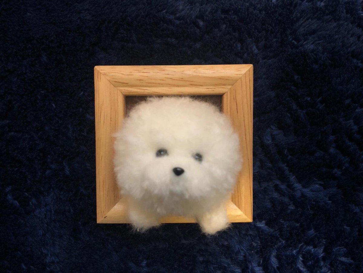 Twoucan サモエド の注目ツイート イラスト マンガ コスプレ モデル