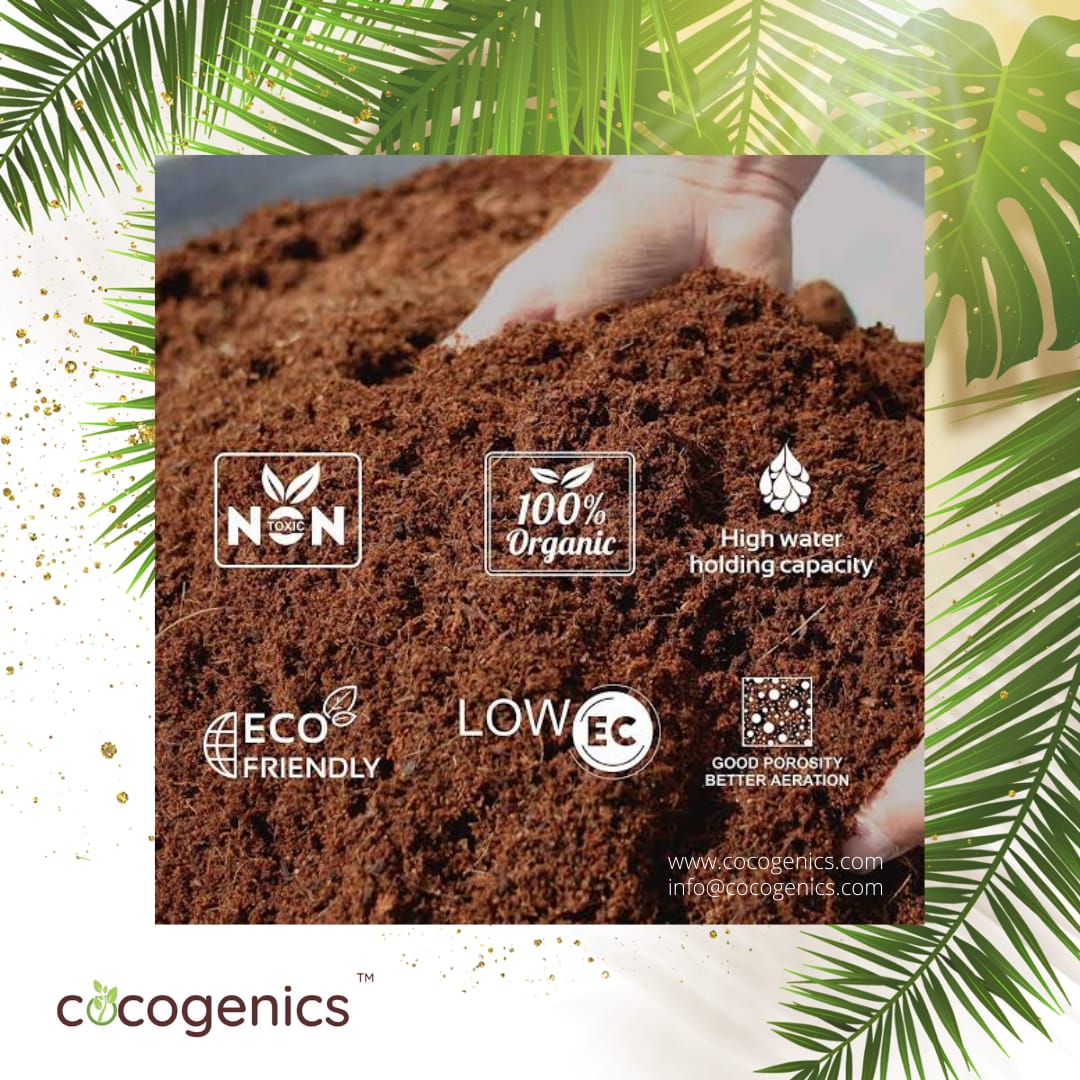 cocogenics tweet picture