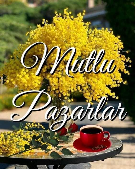 RemziCansu7's tweet photo. ALLAH Herkese Merhamet Güzelliği Versin Gerisini Vicdan Halleder.
Vakti Sabahınız Pazarınız Ahir Akıbetiniz Hayır İşiniz Aşınız Bereketli Olsun. #İyiPazarlar #AllahKulunaYeter #Hedef2023 #DevletEnsenizde https://t.co/Kxu2DkyE9A