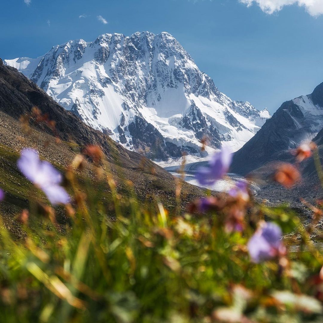 Visit Karakol tweet media