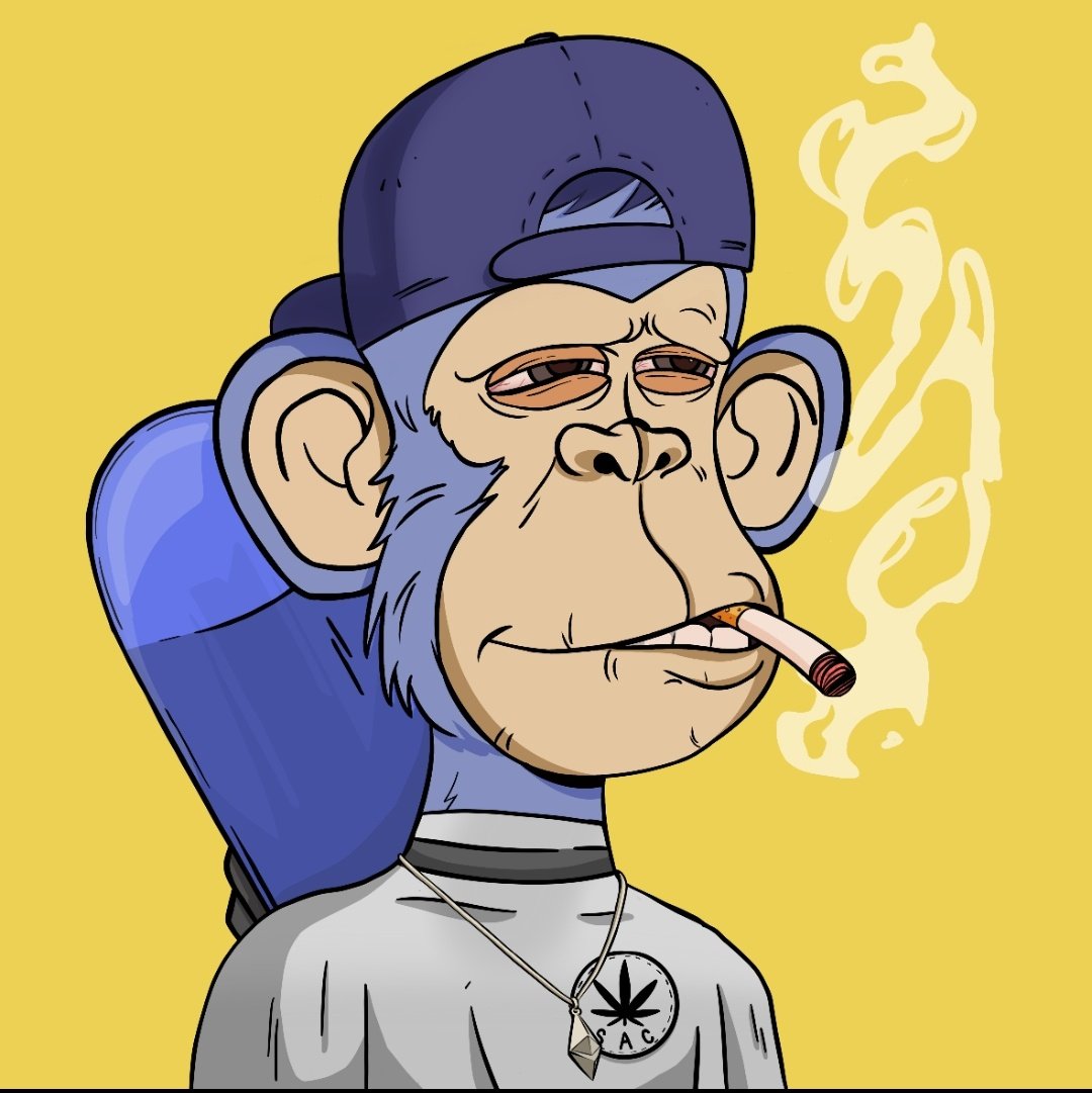 Huffzz's tweet image. Finally able to ape in, this one is clean! 

Shout out to the best community in the space!

#SACPAC

@TheStonerApes @Alx_SAC @BrndonSAC @AlecoNFT @rachelle_nft @TrulsSAC @KreoFN @Willhire @LoveTheDonut @GuitarWizard89