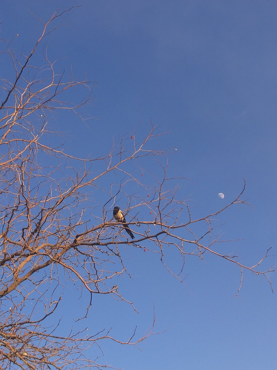 It's my first NFT on OpenSea😜
opensea.io/assets/0x495f9…