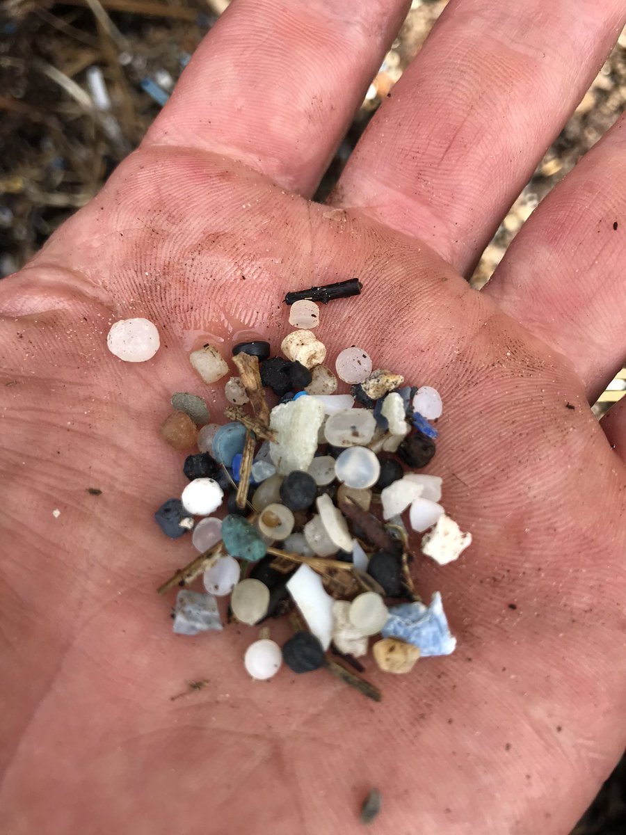 One Global Ocean tweet media