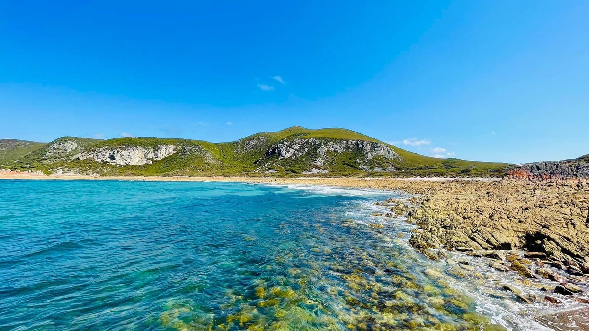 PowerHouseFitG's tweet photo. Rocky Cape National Park @today_tasmania pictures taken by my little Brother, he is quiet the adventurer, how spectacular is the day and the views 💙💙💙💙#visittasmania #tassie #appleisle #oceanviews https://t.co/NkZEj8AuR4