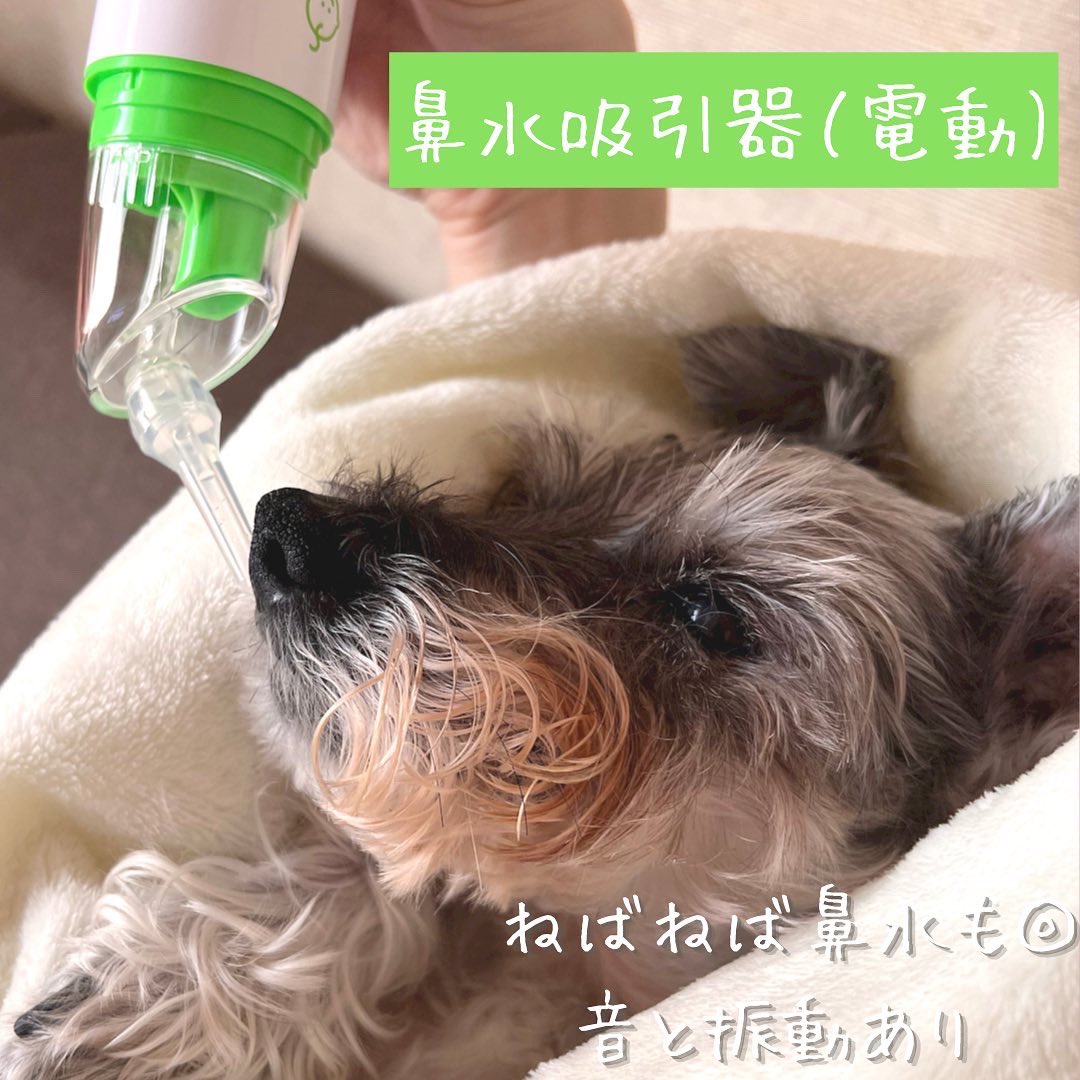 ショコラ Keys Chocolat Twitter