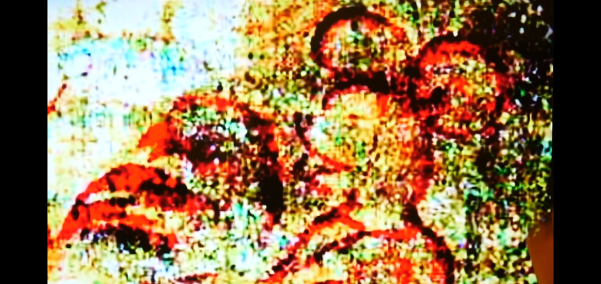 تويتر ディズニー雑学 بحث تويتر