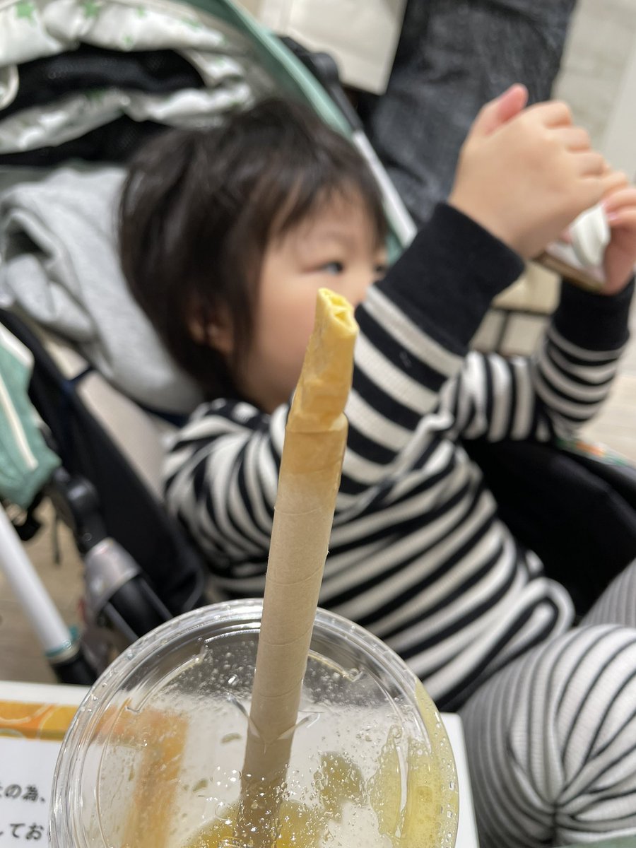 幼児の紙ストロー使用は要注意 両方用意して選ばせてくれるとうれしい おたくま経済新聞
