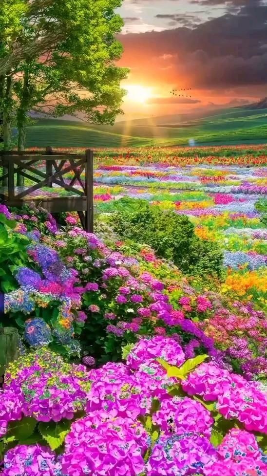 Daniella_C1804's tweet photo. Good morning 🌺 https://t.co/HN9xEpdMJx