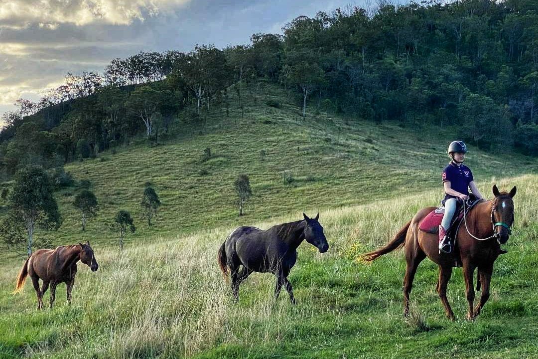 JennyBrownQLD's tweet image. The girl has a following...