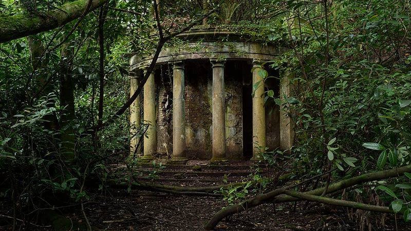 ladyoforien's tweet photo. getting lost in an old forest and finding yourself there https://t.co/Tff0vxuCQK