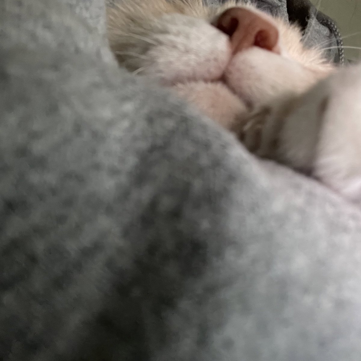 withmypotato's tweet photo. 사람이 좋을 나이 6살 https://t.co/us5X96enC1