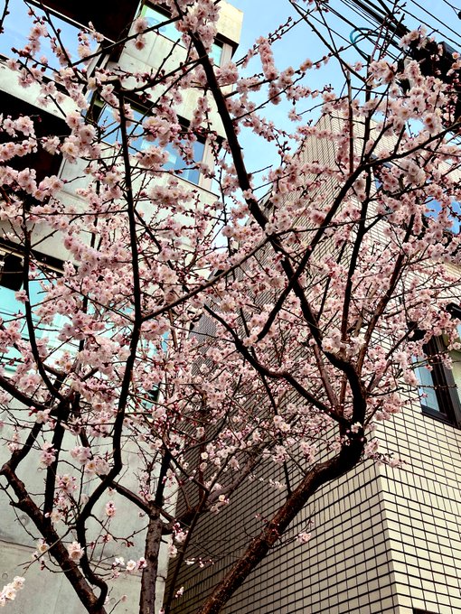 æ¡ããª?æ¢
ããª?
ããããðž