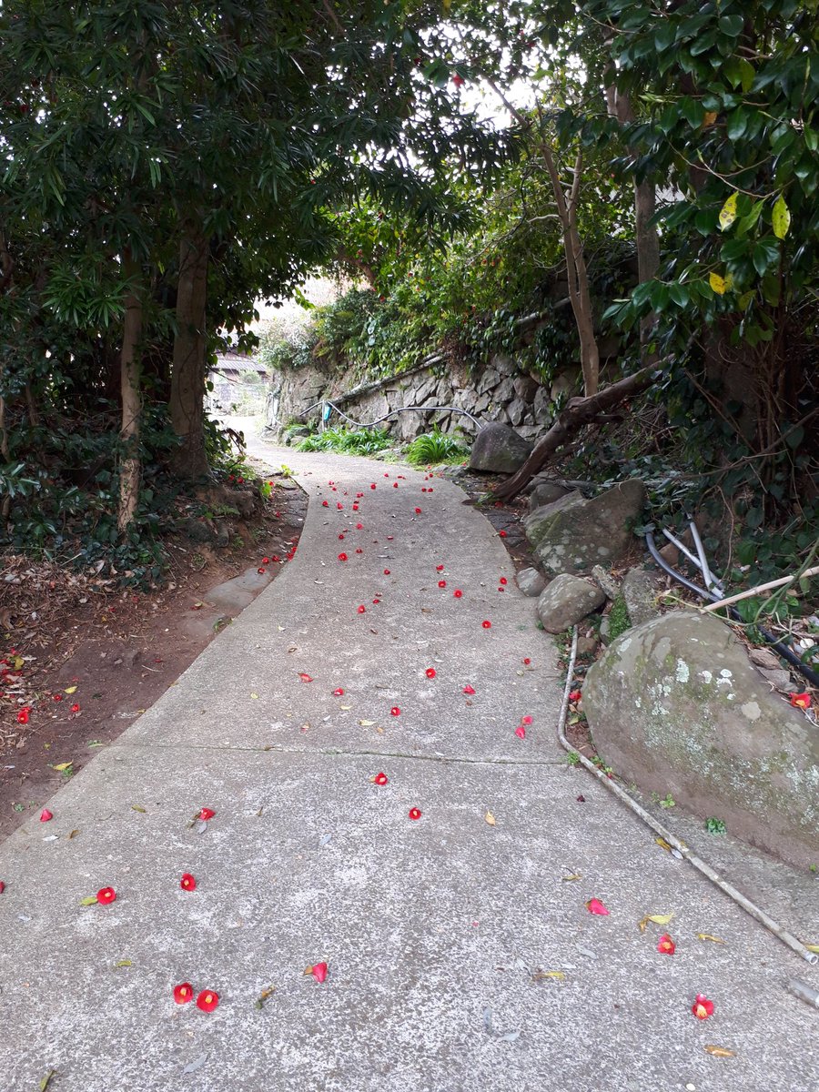 坂道のアポロン 佐世保ロケ地巡りガイド Aporon Sasebo Twitter