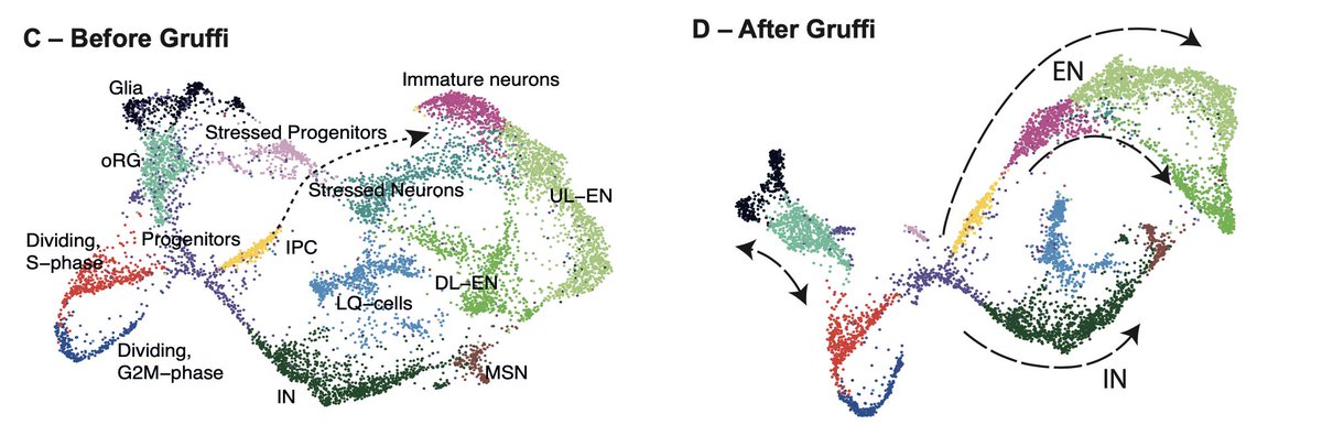 The Knoblich Lab tweet media